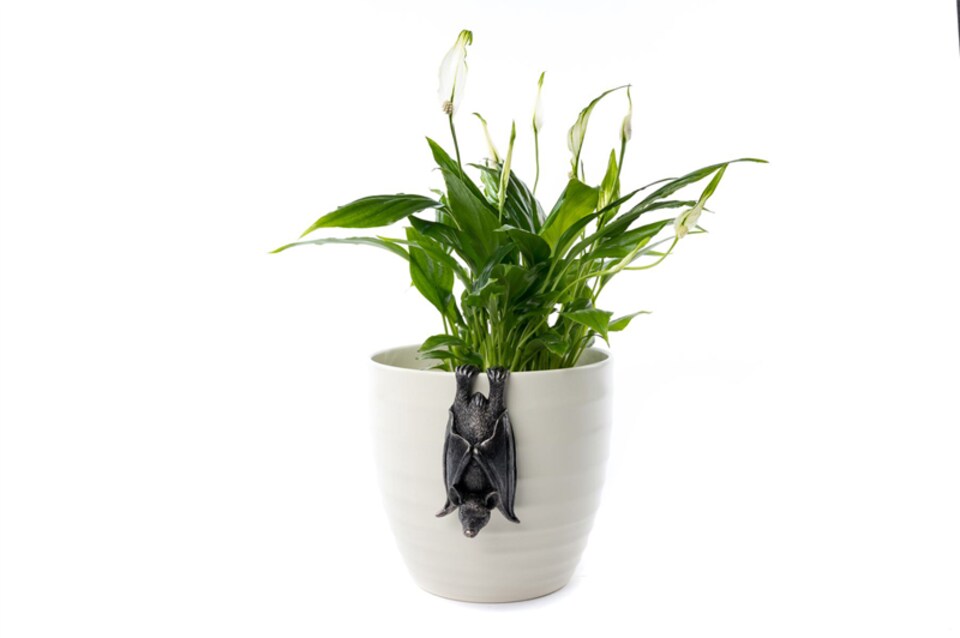 image 1 of Bat Plant Pot Hanger - L11 x W5.5 x H4.5 cm | Black