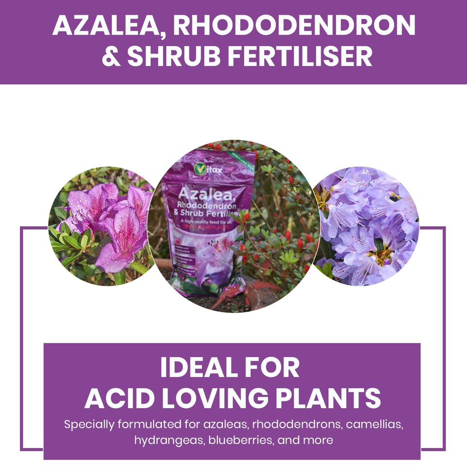 image 1 of language Vitax Azalea Rhododendron & Shrub Fertiliser 0.9kg Organic Acid-Loving Plant Feed for Healthy Growth & Blooms