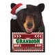 image 1 of Hallmark Grandson Christmas Card 'Very Beary'