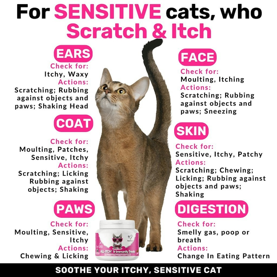 image 1 of All-Itch Chews for Cats
