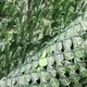 image 5 of Primrose Artificial Ivy Leaf Screening Hedge Roll Privacy Screen W3m x H1.5m