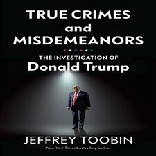 True Crimes And Misdemeanors