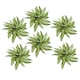 image 1 of Pack of 6 x 45cm Fire Retardant Artificial Aglaonema Bush