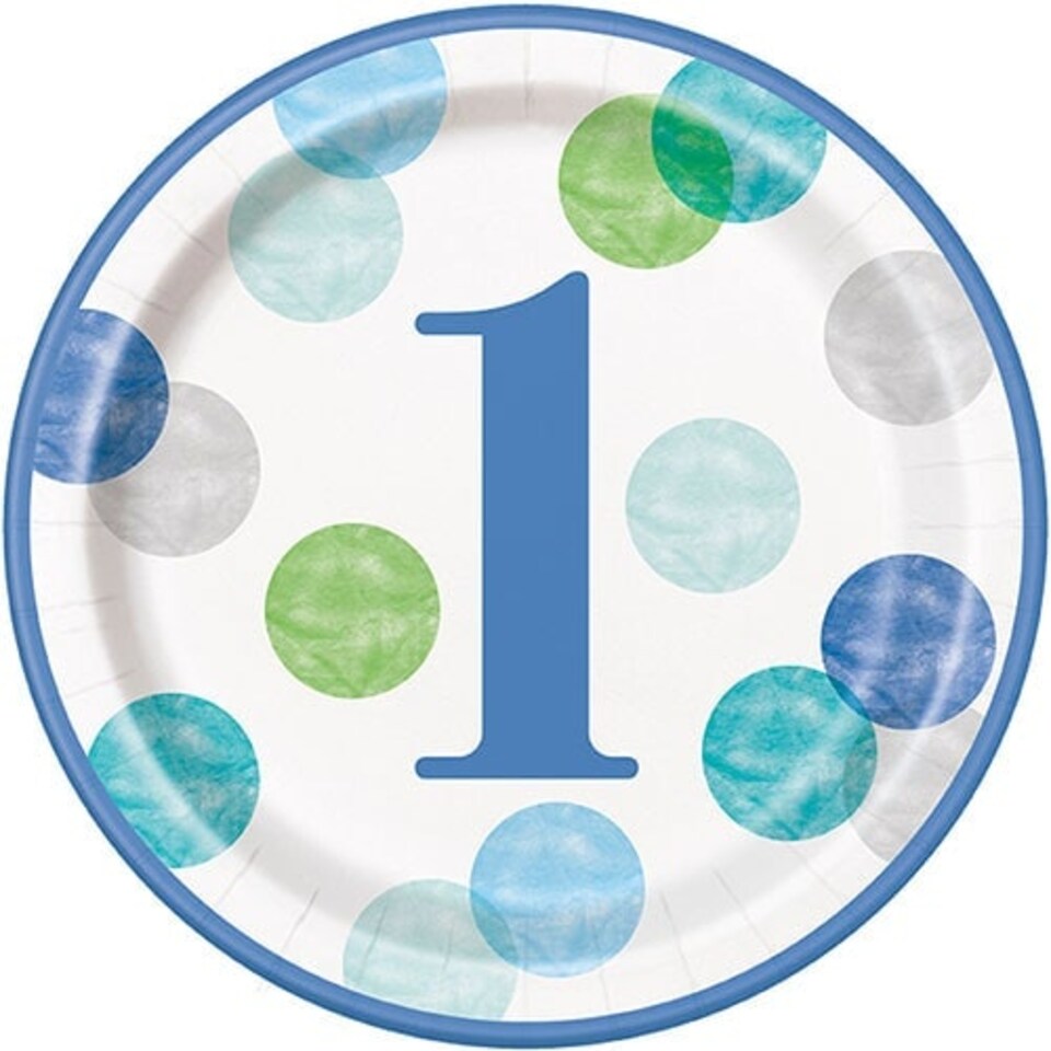 First Birthday Boy Blue Dots Round Paper Plates 22cm - Pack of 8