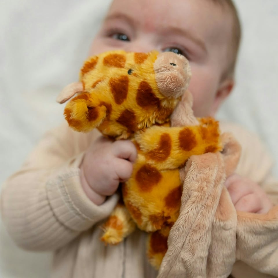 image 1 of Ziggle Comforter Blanket Giraffe