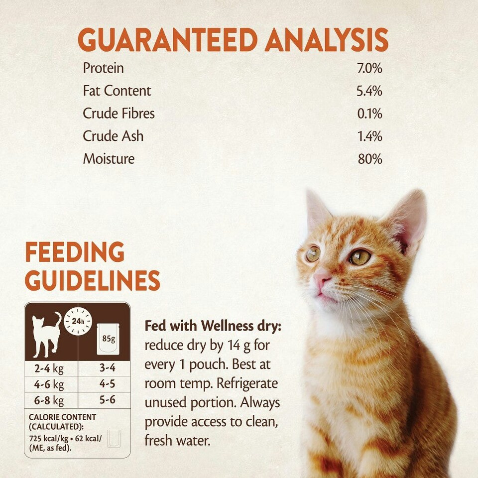 image 1 of Wellness CORE Cat Wet Adult Tender Cuts Turkey Selection Multipack 6 x 85g