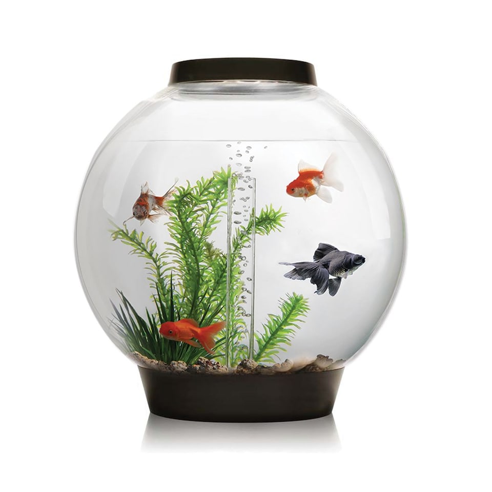 image 1 of BiOrb Classic 30L Aquarium Fish Tank in Black with MCR LED Lighting
