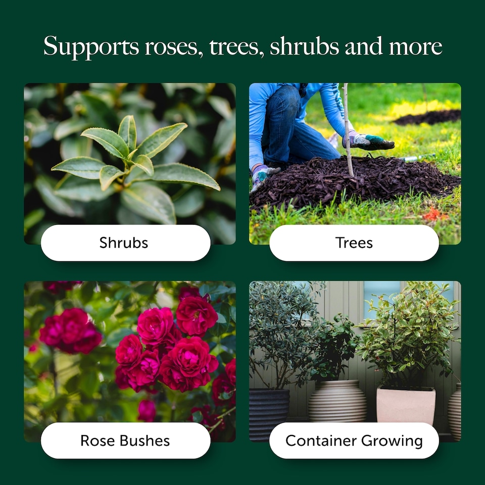 image 1 of Rose, Tree & Shrub Compost with 9 Month Feed - 65L - Water Less Formula - Enriched Compost for Strong Roots & Healthy Growth