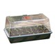 image 1 of Garland Dome Propagator - Green/Clear - 18cm x 37.5cm x 23cm