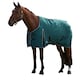 image 1 of Weatherbeeta Comfitec Classic Combo Neck 50g Horse Turnout Rug | Green | Forest Green/Black | 5Ft | 1