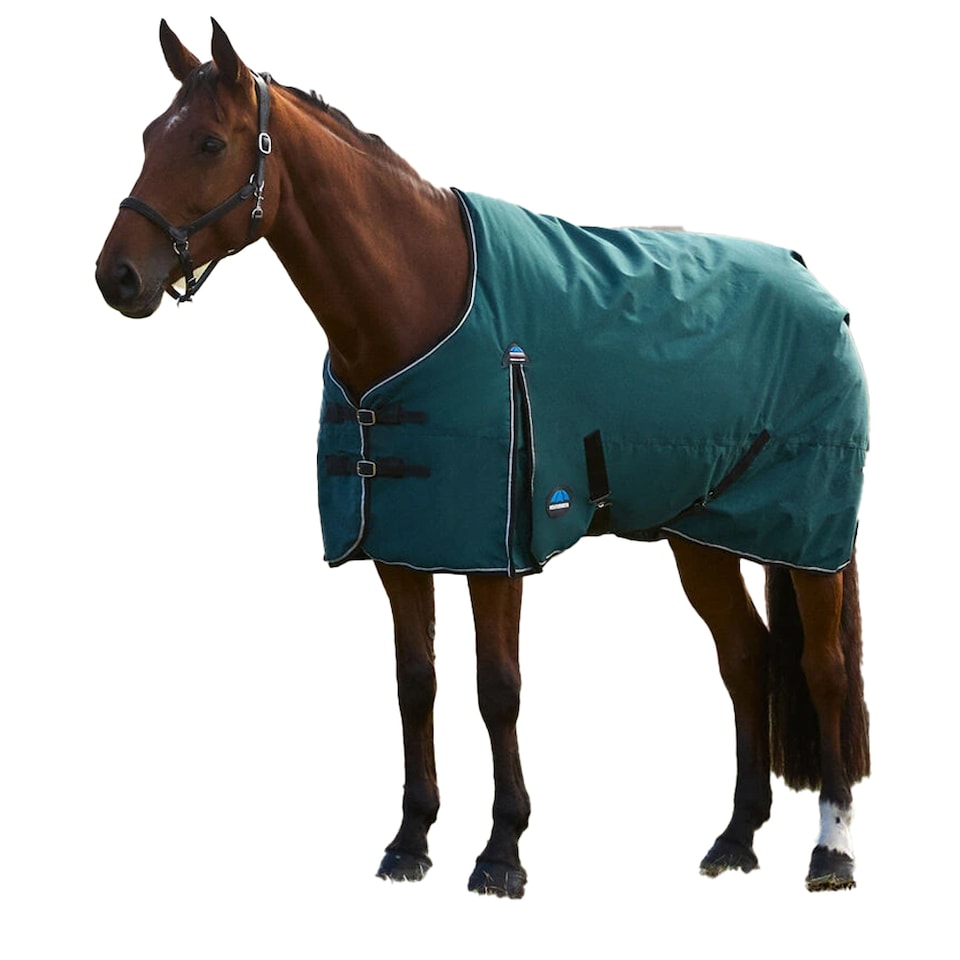 image 1 of Weatherbeeta Comfitec Classic Combo Neck 50g Horse Turnout Rug | Green | Forest Green/Black | 5Ft | 1