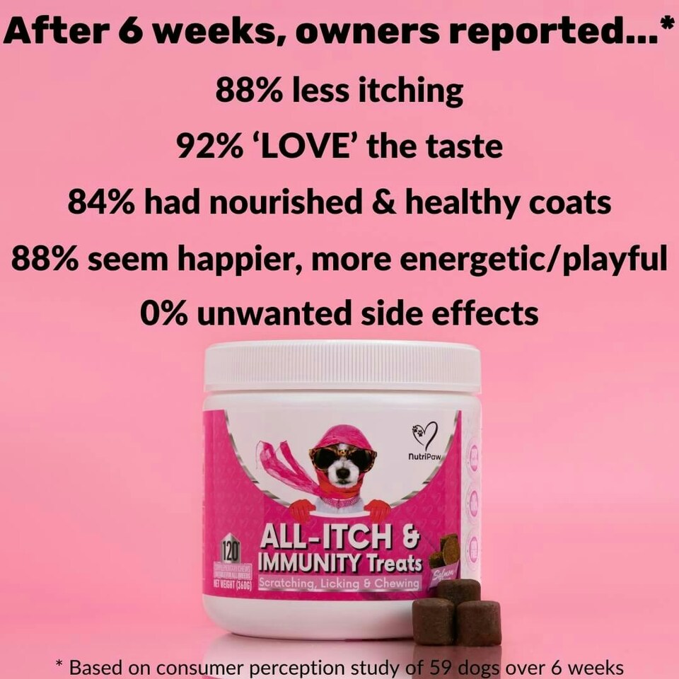 image 1 of All-Itch & Immunity Treats