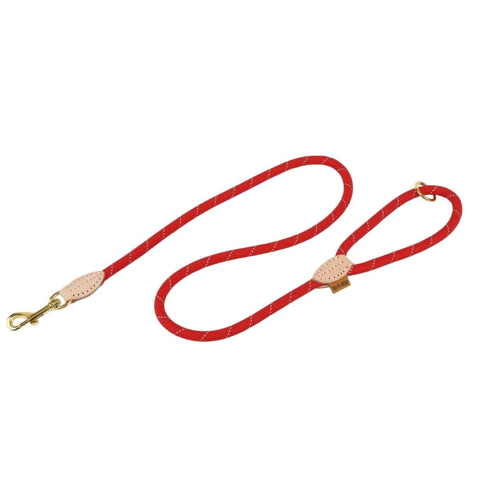 Digby & Fox Reflective Leather Dog Lead - Scarlet - One Size