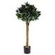 image 1 of Bay Tree UV Resistant Outdoor Topiary 120cm Botanik | Green | One Size