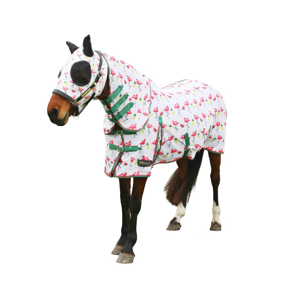 image 1 of StormX Original Flamingo Horse Combo Fly Rug - Green/White/Pink - 5´