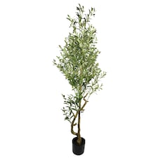 160cm Artificial Olive Tree 1296 Leaves 72 Olives | Green | 5ft