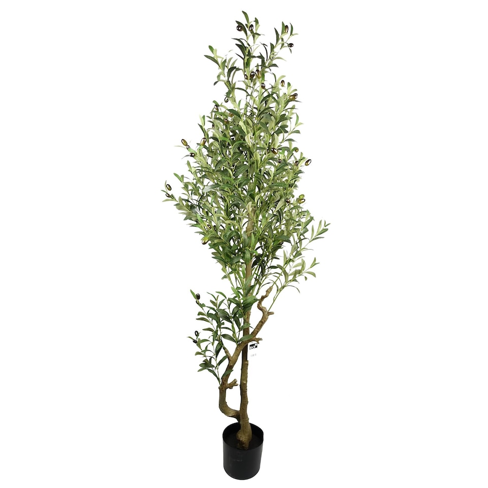 image 1 of 160cm Artificial Olive Tree 1296 Leaves 72 Olives | Green | 5ft