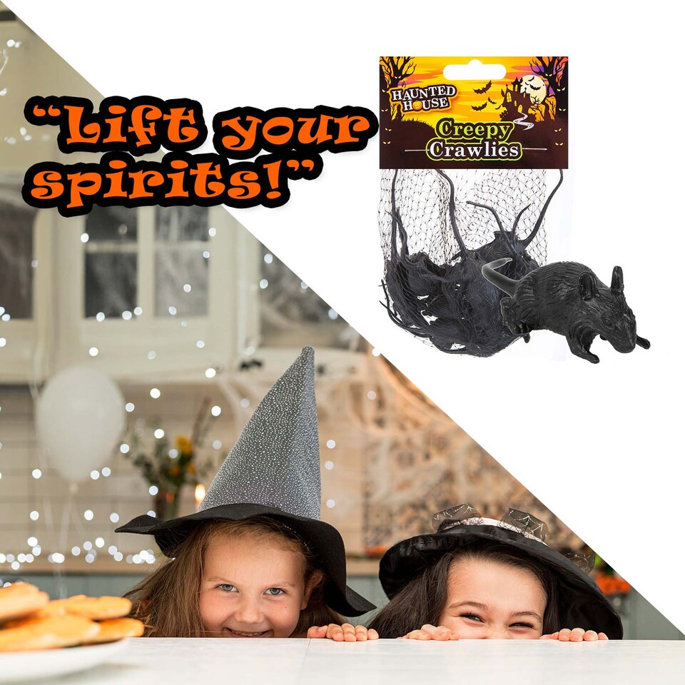image 1 of vfm-estore Halloween Creepy Crawlies Set - Spooky Rats Party Pack