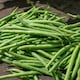 image 1 of Marshalls Garden French Bean Climbing Seeds 'Cobra' | Green | Green | Seeds