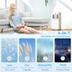image 3 of HOMCOM 5000BTU Portable Air Conditioner 4 Modes LED Display Timer Home Office