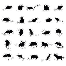 Halloween Rats Cutting Sheet PVC Party Sign Decoration 133cm x 133cm