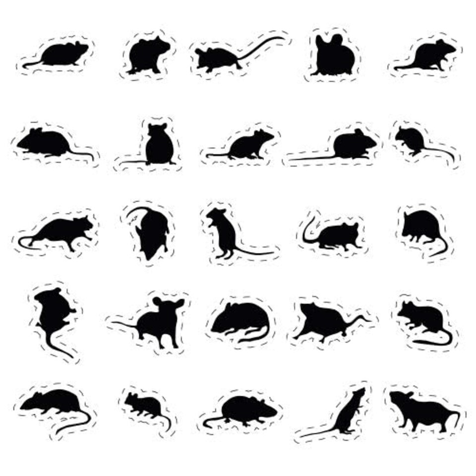 Halloween Rats Cutting Sheet PVC Party Sign Decoration 133cm x 133cm