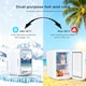 image 5 of Spector Mini Fridge Portable Cooler Warmer with Mirror 5L for Bedroom Office Car