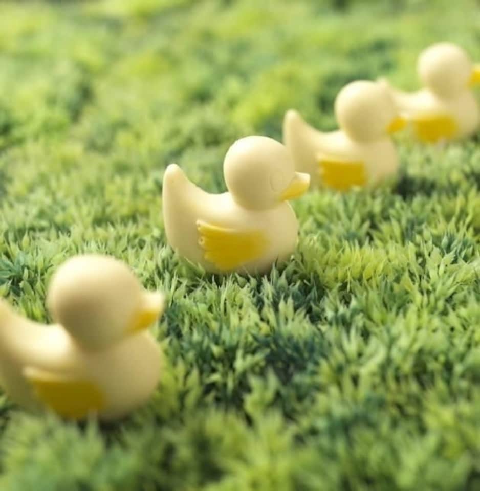 image 1 of Chocolate Ducks