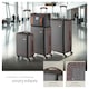 image 3 of Suitcase Set Madison -  13-piece, 3 suitcases, packing cubes, TSA lock | Grey | anthracite | 1
