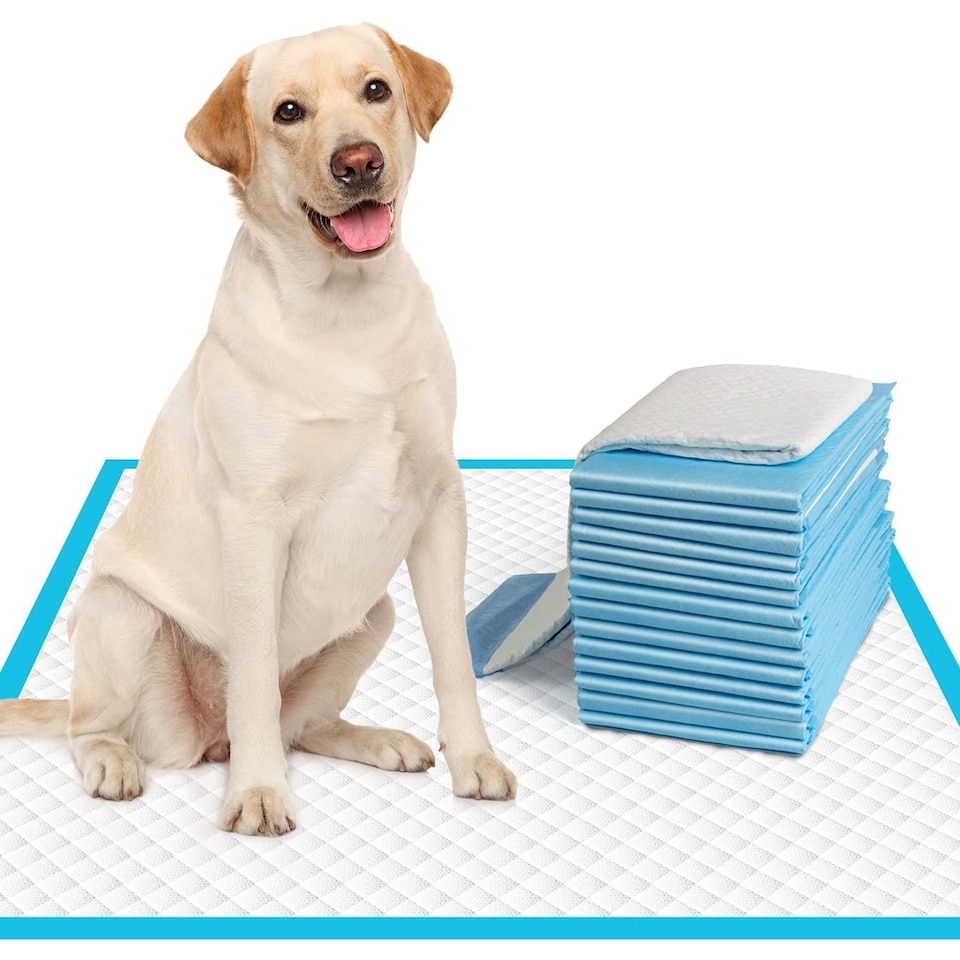 image 1 of MantraRaj Puppy Pads Super Absorbent Puppy Training Pads Dog Toilet Training Pads (Large 60cm x 60cm) Pack of 50