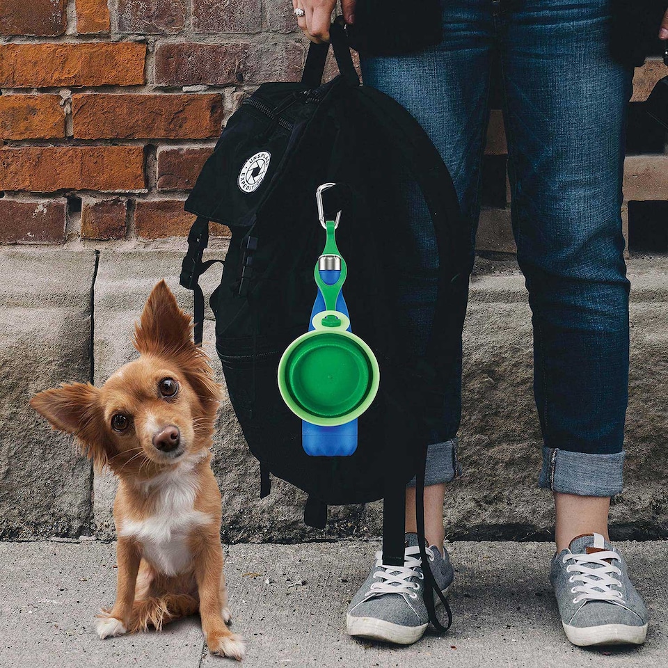 image 1 of PMS Crufts Collapsible Silicone Pet Travel Bowl - Portable Water & Food Dish