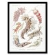 image 1 of Nudibranch Sea Slug Molluscs Haeckel Botanical Framed Wall Art Print 12X16"