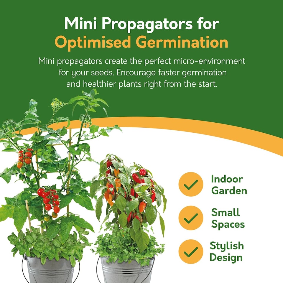 image 1 of Pronto Seed Grow Your Own Chilli, Tomato & Herb Kit with Galvanised Buckets - Combo Bucket Duo | Multi | Chilli/Tomato/Herbs | 1