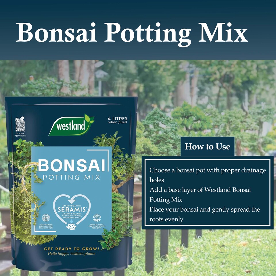image 1 of Westland Bonsai Potting Mix 4L Free Draining Peat Free Brown Soil for Healthy Bonsai Growth & Strong Roots