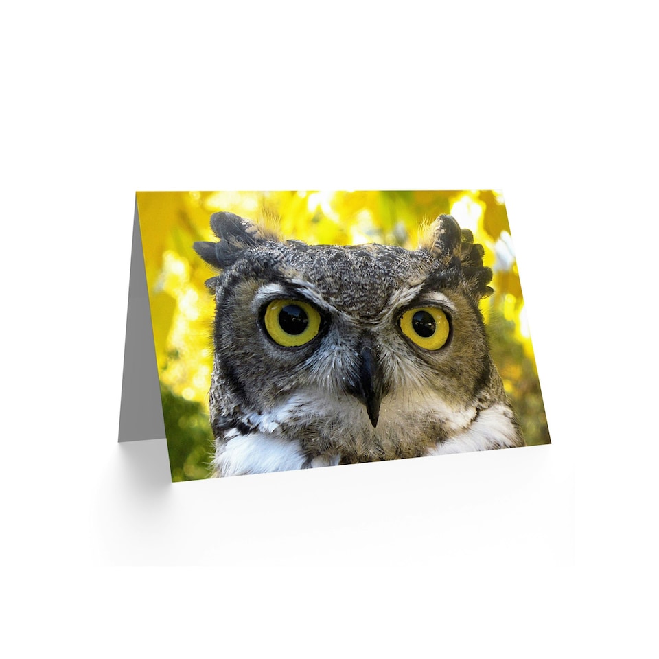 image 1 of Animal Serious Face Owl Birthday Card