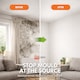 image 6 of Landlords Paint - Anti-Mould Paint - Prevents Mould on Interior Walls & Ceilings - London's Magnolia - 2.5L