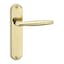 Polished Brass Plain