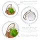 image 2 of Nicola Spring Hanging Glass Terrariums - 8cm - Clear