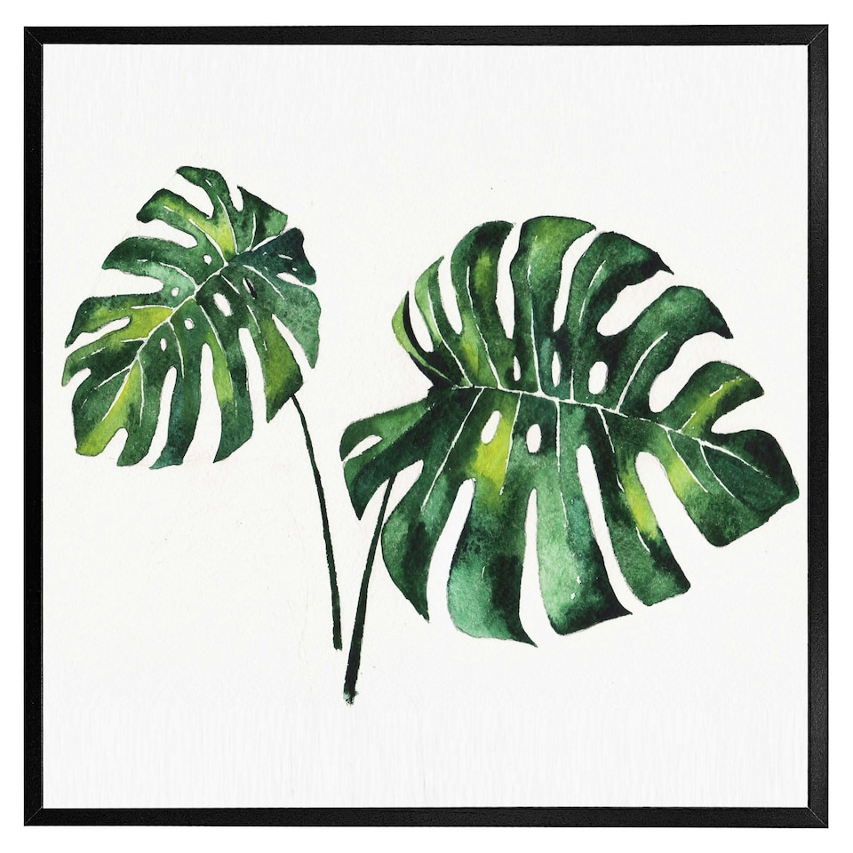 image 1 of Twin tropical leaves (Picutre Frame) Grey | L