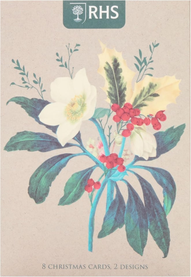 image 1 of Multipack of 8 RHS Rose & Robin Design Christmas Cards