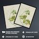 image 2 of New Zealand Sicyos Australis Mawhai Plant Featon Wall Art Poster Print 24X32"