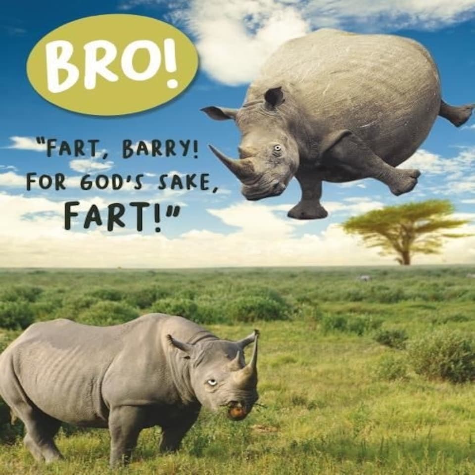 Virtual Safari Birthday Card for Brother, Brother Birthday Card, Funny Birthday Card Brother,