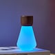 image 6 of Gingko Large Pentagon Desk Bulb Light in Natural Wood N/A | Walnut