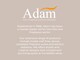 image 7 of Adam Bellini Bio Ethanol Stove in Grey