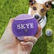 image 2 of Pre-Personalised Dog Ball Gift Pack 2pcs Purple Skye