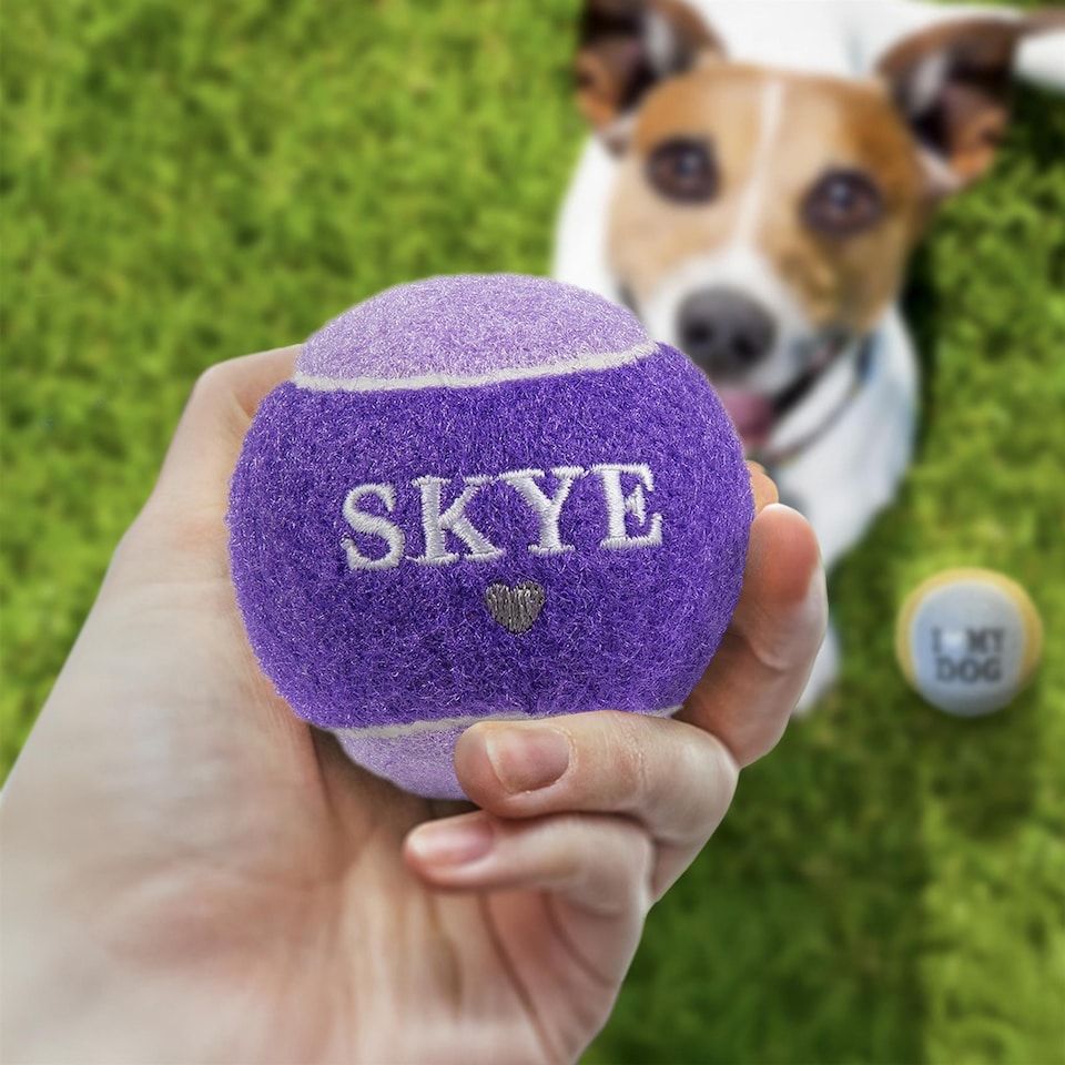 image 1 of Pre-Personalised Dog Ball Gift Pack 2pcs Purple Skye