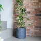 image 3 of Kew Stoneware Meadow Planter - Stoneware - L20.5 x W20.5 x H20.5 cm - Grey | Grey