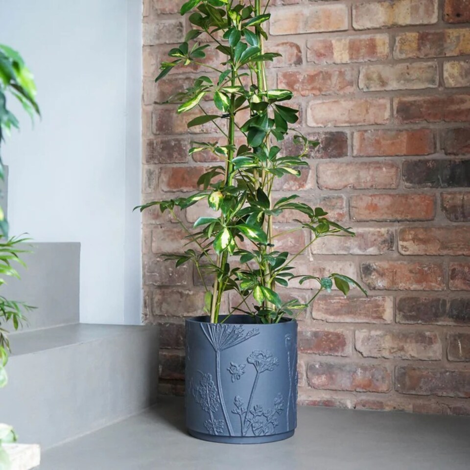 image 1 of Kew Stoneware Meadow Planter - Stoneware - L20.5 x W20.5 x H20.5 cm - Grey | Grey