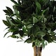 image 2 of Bay Tree UV Resistant Outdoor Topiary 120cm Botanik | Green | One Size