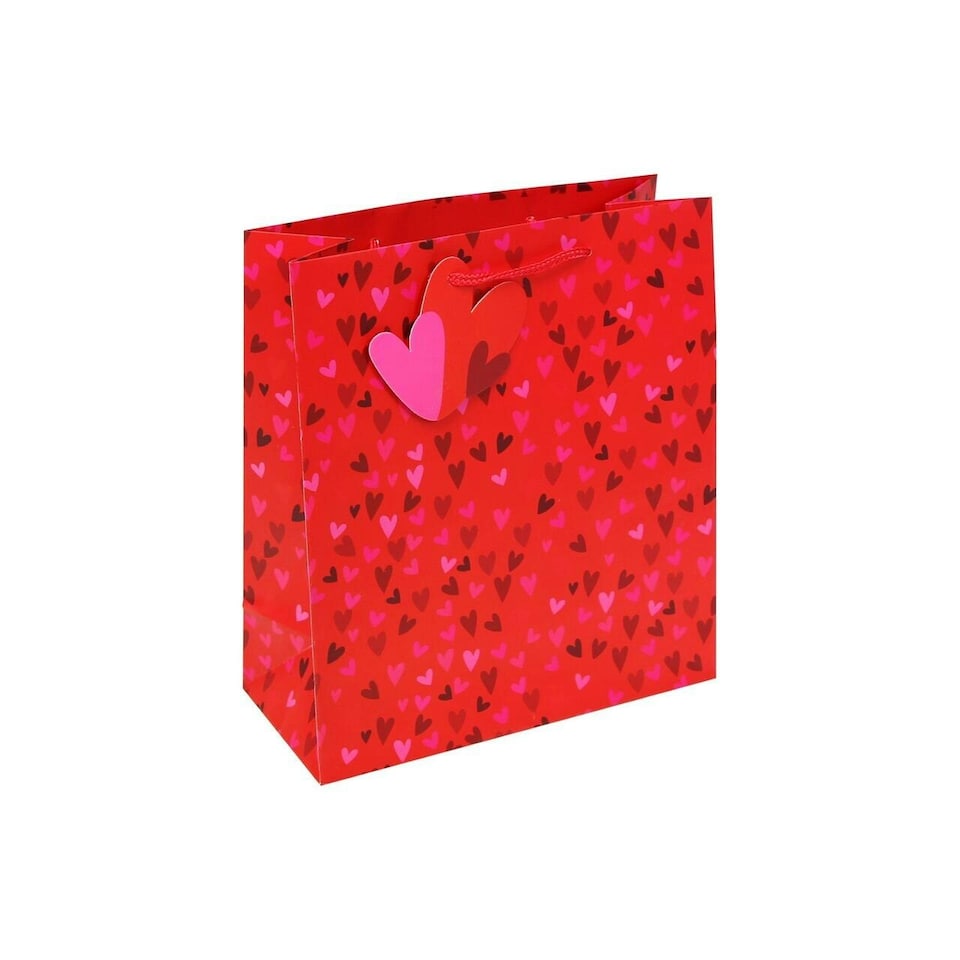 Pack of 12 Mini Hearts Medium Valentine's Gift Bags | Red | 12